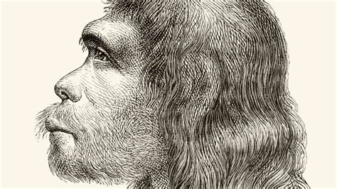 Scientists have created mini brains containing Neanderthal DNA | CNN