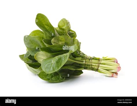 Bunch Of Fresh Green Organic Spinach Isolated On White Background