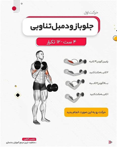 برنامه تمرینی جلو بازو با دمبل تناسب آنلاین مخصوص تمرین در خانه