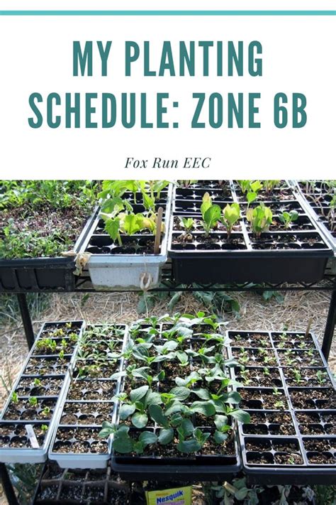 Printable Zone 9b Planting Schedule