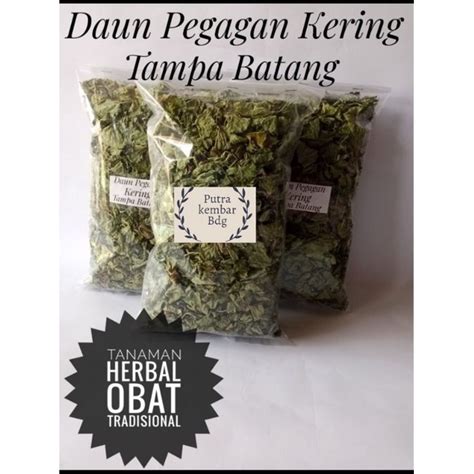 Jual Daun Pegagan Kering Tampa Batang Jual Daun Pegagan Kering Teh