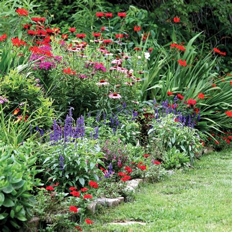 Perennial Garden Ideas Magazine | Fasci Garden