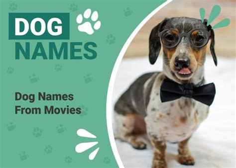 350 Dog Names From Movies for Your Star Studded Pooch – Dogster