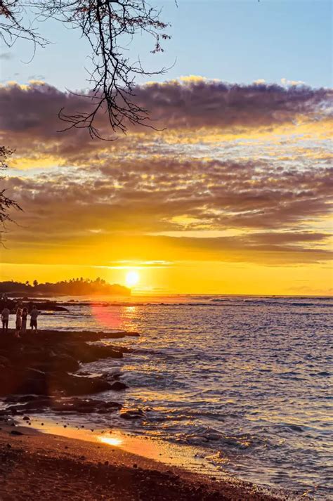 Christmas In Hawaii: Guide To Celebrating Hawaii Christmas Traditions ...