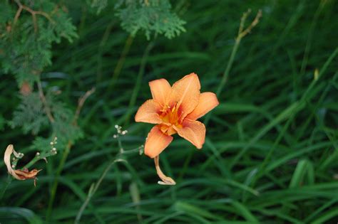 Residents are shocked by the wiltshire gazette and herald devizes lead 1