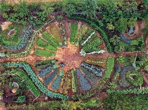 Permaculture Gardening Garden Design Vegetable Layout 28 Permaculture Gardening 1000 In 2020