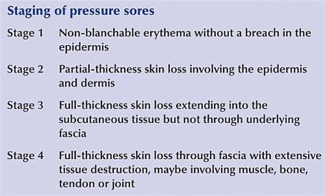 Causes Of Bed Sores Stages | Bruin Blog