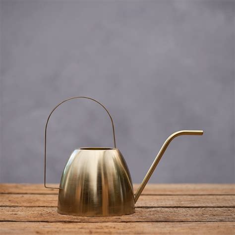 Buy Indoor Watering Can Gold Delivery By Crocus