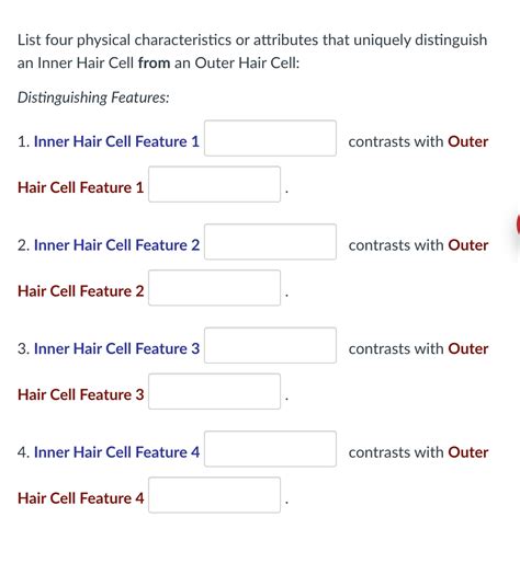 Solved an Inner Hair Cell from an Outer Hair Cell: | Chegg.com