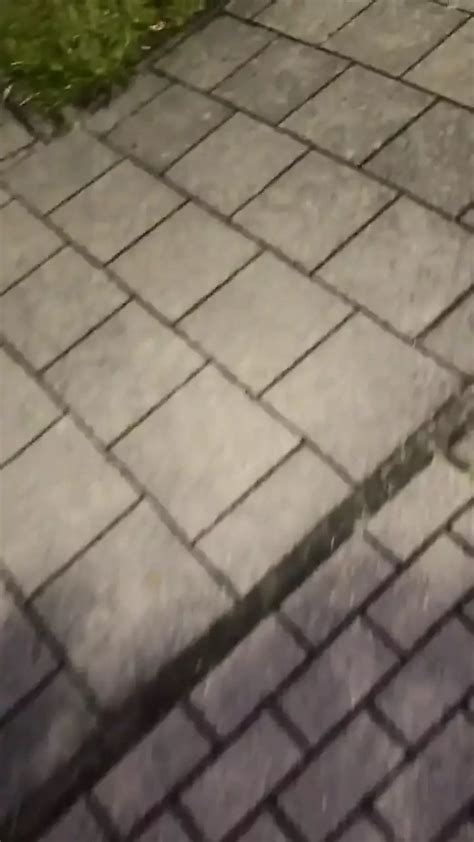 At A Local Toilet Gay Amateur Amateur Porn By FapHouse XHamster