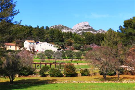 Le Sentier Des Abeilles Lo Camin De Las Abelhas La Provence Des