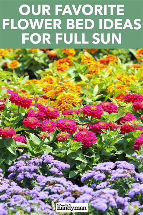 Our Favorite Flower Bed Ideas for Full Sun Flower Bed Plants, Small ...