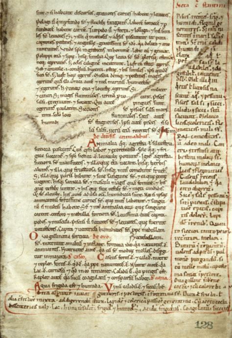 Medieval Manuscripts Treatises On Medicine