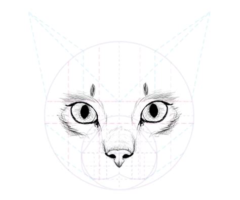 How To Draw A Cat Nose