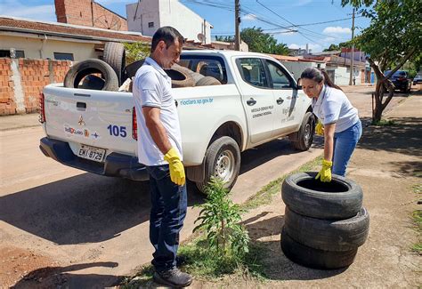 Mutir O Retira Mais De Toneladas De Poss Veis Criadouros Da Dengue