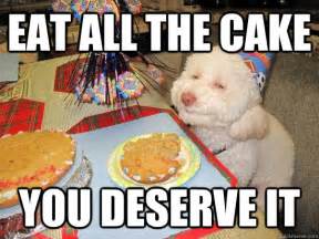 Eat All The Cake You Deserve It Birthday Meme Quickmeme