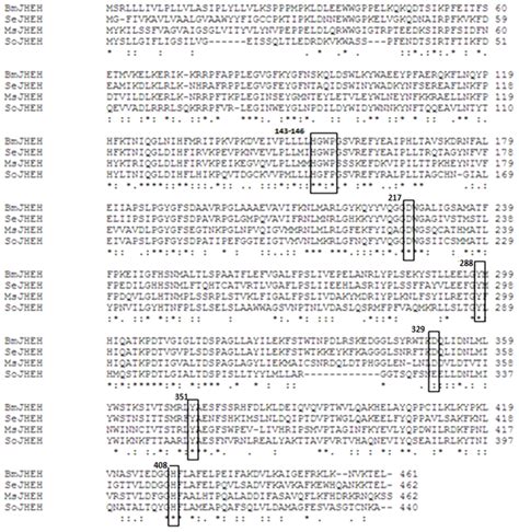 Multiple Sequence alignment showing conserved catalytic activity amino ... 