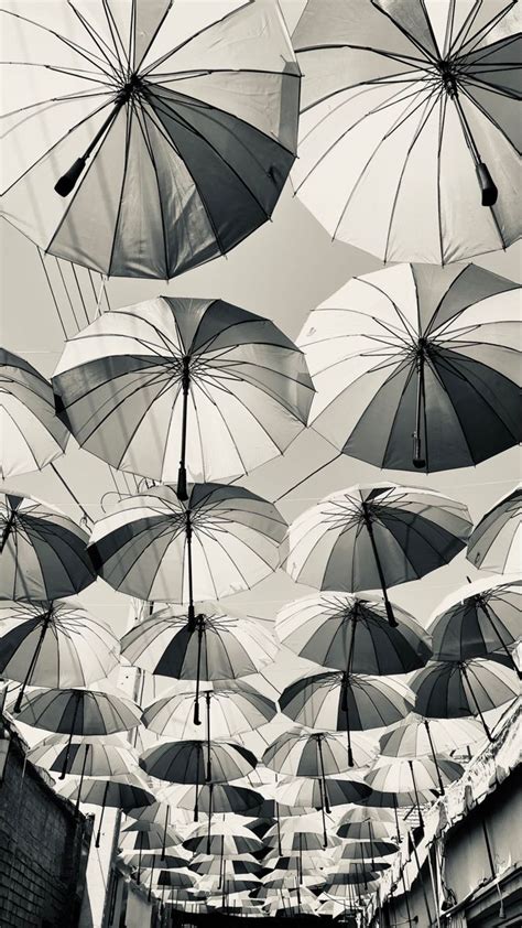 Black And White, White Umbrella, White, Umbrella, Photo