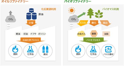 木質バイオマス変換｜基盤技術研究所（技術紹介）｜日本製紙グループ