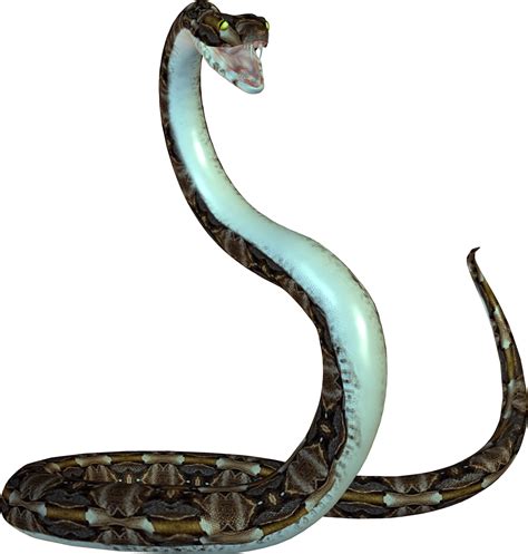 Cobra Png Transparent Image Download Size 1383x1451px