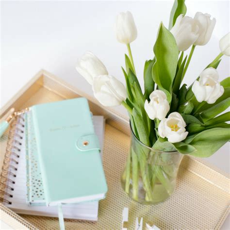 Green journal | Melveen Stevenson