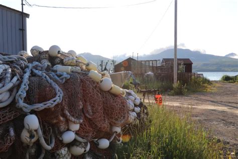 Frustrations grow along Yukon River as salmon fishing remains closed for second year amid record ...