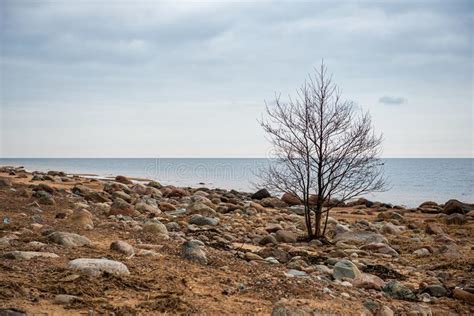 Plage Vide Isol E De Mer Avec Le Sable Blanc Les Grandes Roches Et Les