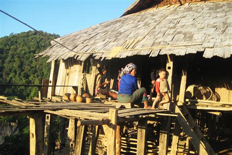 Days Trek Gibbon Trail In Vieng Phoukha Phou Iu Travel Ecotourism