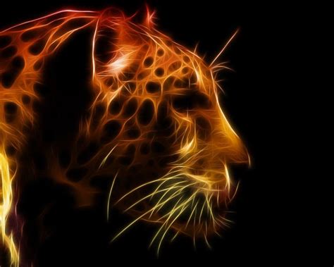 Cool Animal Wallpaper Cool Backgrounds Of Animals Wallpaper Cave