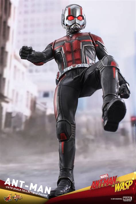 Ant Man Th Scale Hot Toys Collectible Coming Soon Diskingdom