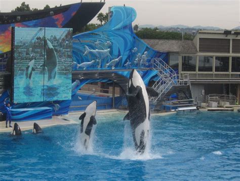 Sea World | drivinguscrazy.net