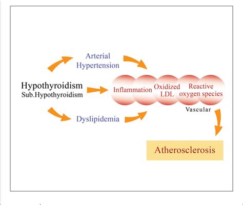 Table 1 From A Renewed Focus On The Association Between Thyroid