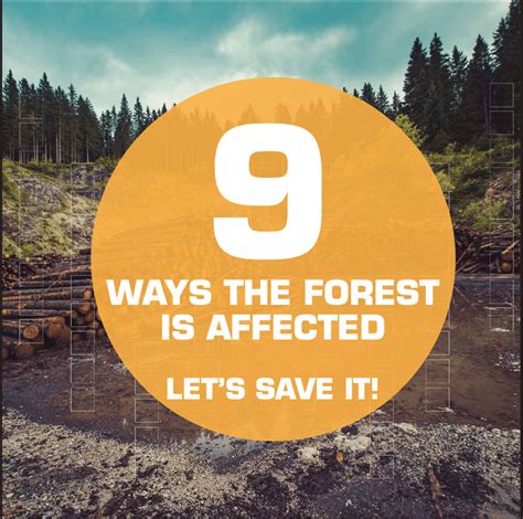 Deforestation Infographic on Behance