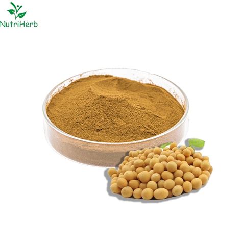 Bulk Supply Soybean Germ Extract Soy Isoflavones Powder Soy Bean