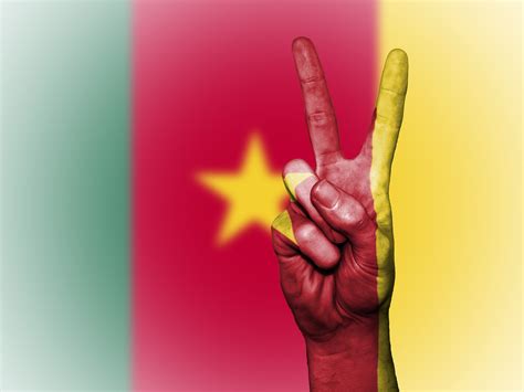 The War In Cameroon And The Identity Politics Of Language Young Diplomats