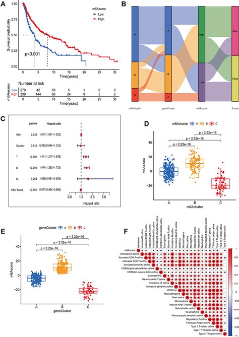 M A Related Genes Landscape In Skin Cutaneous Melanoma Ijgm