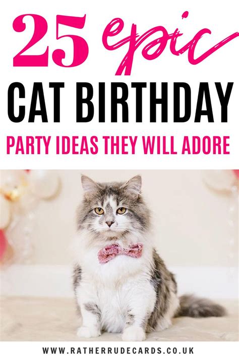 Cat birthday party ideas and cat birthday gifts – Artofit