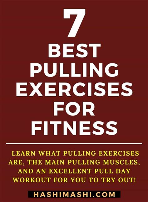 7 Best Pull Exercises for Strength and Fitness + Workout