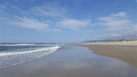 South Jetty Beach 5 Day Use Coastal Florence Local Resource