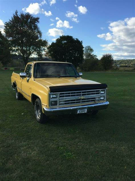 used chevy pickup trucks for sale - Classic Chevrolet Other Pickups 1985 for sale