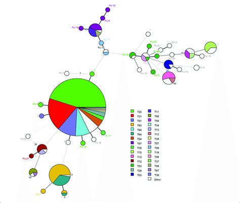 Minimum Spanning Tree Analysis Based On Allelic Profiles Of