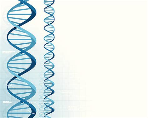 Dna Double Helix Cartoon Illustrations, Royalty-Free Vector Graphics ...