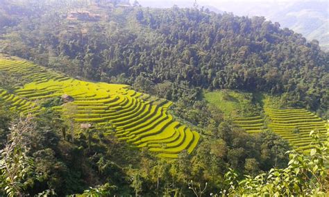 Rice Terraces of Northern Vietnam – Vietnam Coracle – Independent ...