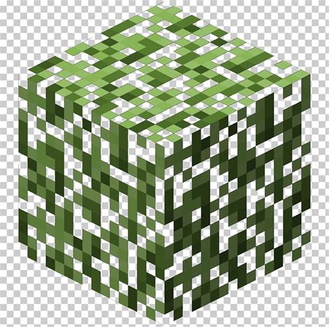 Minecraft Pocket Edition Leaves Mod Spruce Png Clipart Birch Block