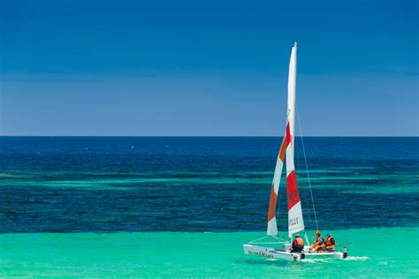 Small Catamaran Free Stock Photo - Public Domain Pictures