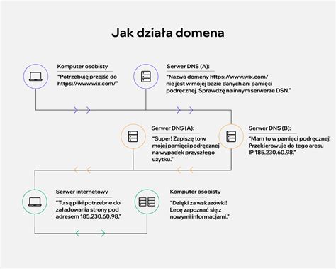 Co to jest domena i jak korzystnie ją kupić infografiki