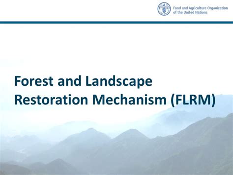 Upscaling Forest And Landscape Restoration To Achieve Land Degradation