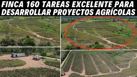 Finca de 160 tareas BUENA PARA DESARROLLAR PROYECTOS AGRÍCOLAS en Don