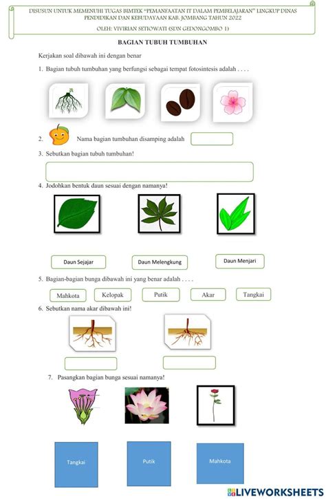 Bagian Tubuh Tumbuhan Worksheet For 4 Live Worksheets