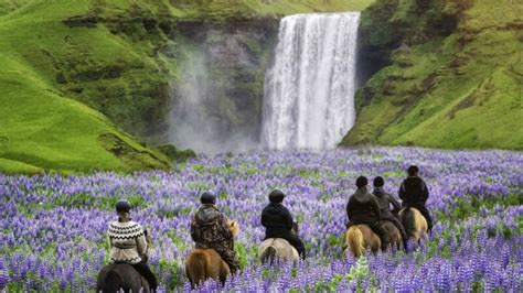 Top Summer Activities in Iceland - Iceland Travel Guide